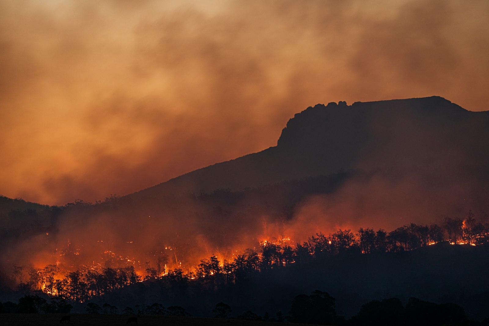 Feu de forêt brûlant sur une colline boisée au crépuscule, ciel chargé de fumée orangée